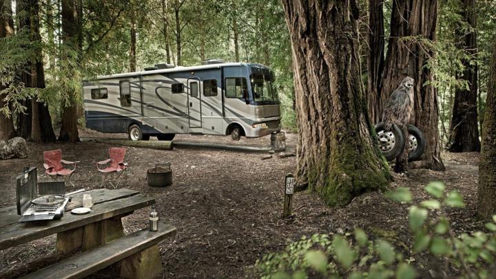 Free download humor funny motorhome camper creature fantasy forest 