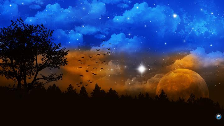 Free download Homepage Fantasy Fantasy Landscape wallpaper 1920x1080 1 