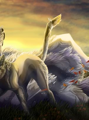 Free download Wolf Family High Definition Wallpapers HD wallpapers 