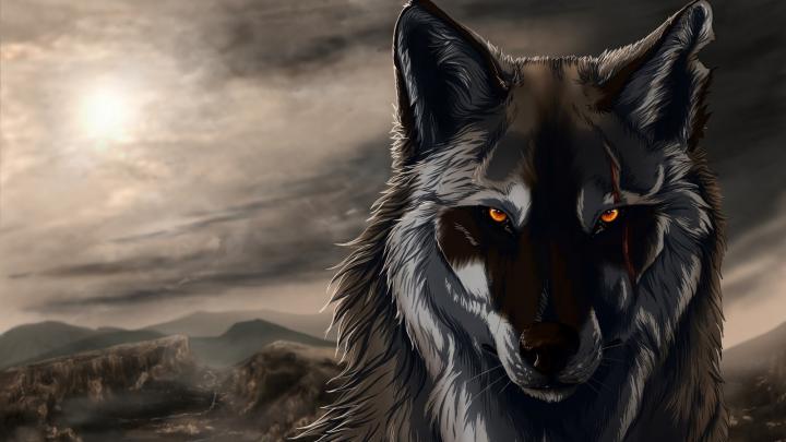 Free download Black Wolf 3D Animation Exclusive HD Wallpapers 2681 