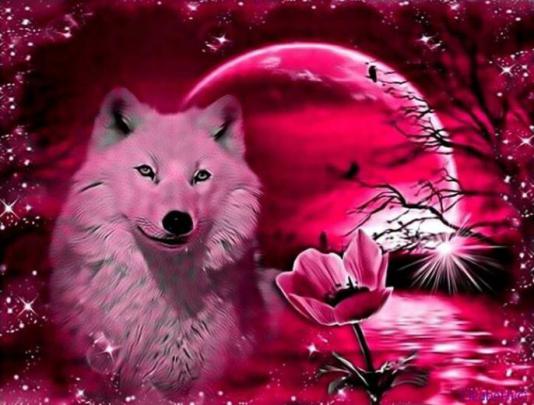 Free download Cool wolf pic Mystical Wolf Mythical Animals Wild Animals 