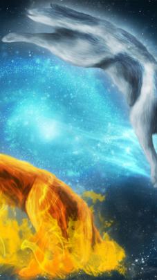 Free download Amazing Wolves image Amazing Wolves Image 36709371 