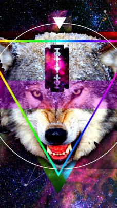 Free download Galaxy Wolf Hipster Hipster triangle galaxy [3333x2500 
