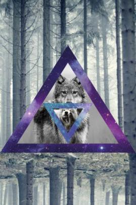 Free download share your wallpapers 13619 wolf 1920x1080 artistic 
