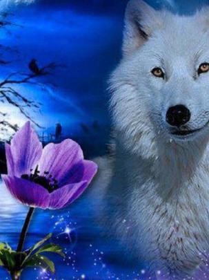 Free download White Wolf Wallpapers [1920x1200] for your Desktop 