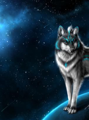 Free download Best Wolf Wallpaper HD ImageBankbiz [1920x1080] for your 