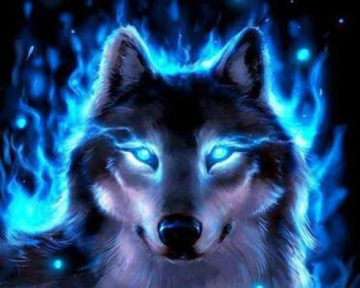 Free download Cool Colorful Wolf Computer Backgrounds [1600x1200] for 