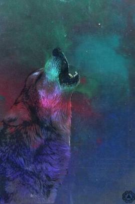 Free download share your wallpapers 13619 wolf 1920x1080 artistic 