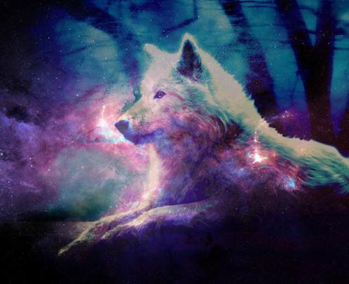 Free download Galaxy Wolf Wallpaper [1024x640] for your Desktop, Mobile 