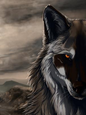 Free download Black Wolf 3D Animation Exclusive HD Wallpapers 2681 