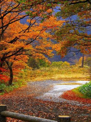 Free download Autumn Scenery Wallpaper wallpaperwallpapersfree 
