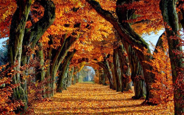 Fall Autumn Desktop Wallpapers - 4k, HD Fall Autumn Desktop Backgrounds 