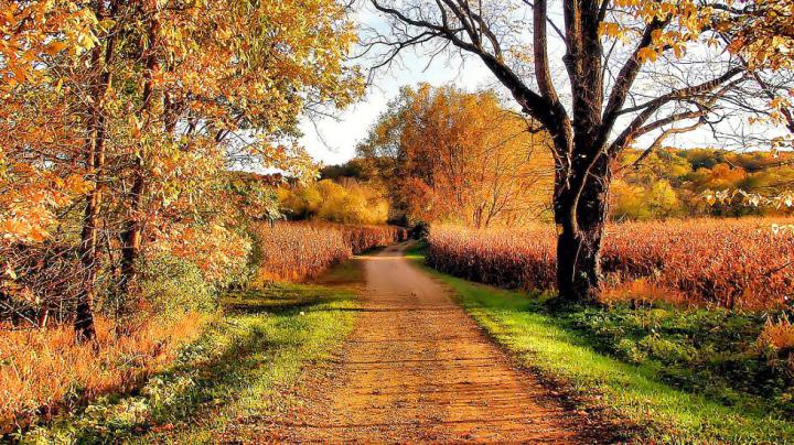 Country Fall Wallpaper -