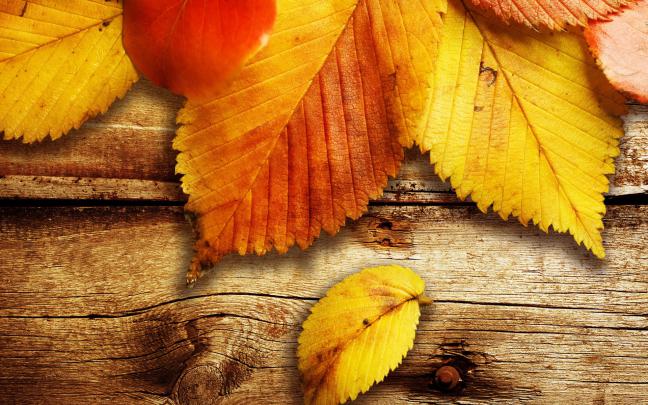 Fall desktop wallpaper \u00b7\u2460 Download free awesome High Resolution 