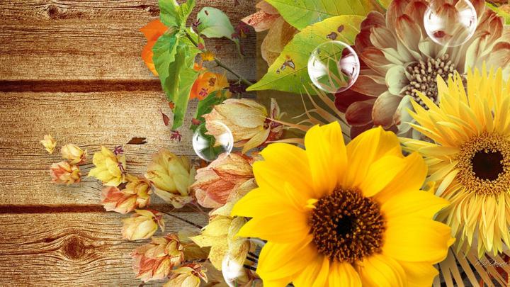 Fall Flowers Desktop Wallpapers - 4k, HD Fall Flowers Desktop 