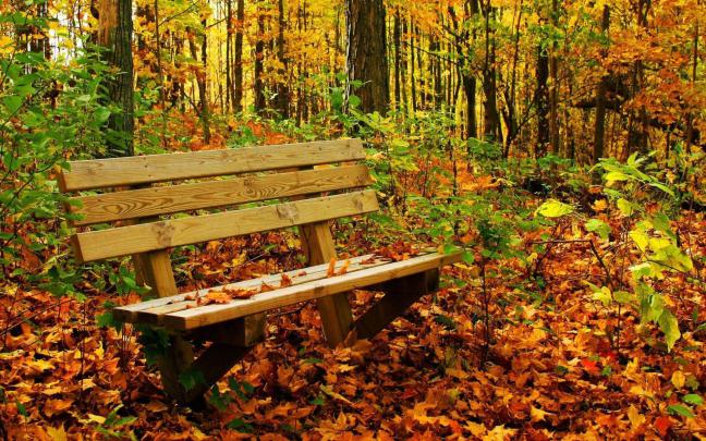 Fall Nature HD Wallpapers - Top Free Fall Nature HD Backgrounds 