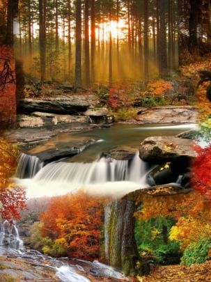 Free download Beautiful Fall Landscape Wallpaper Tera Wallpaper 