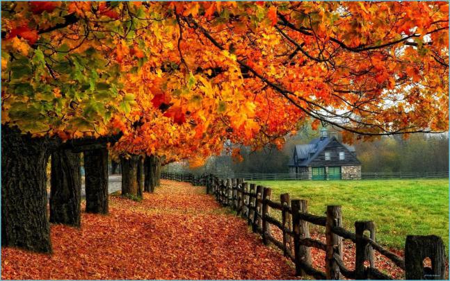 Fall Autumn Desktop Wallpapers - 4k, HD Fall Autumn Desktop Backgrounds 