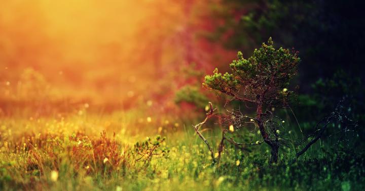 27+ Wallpapers Hd 1920x1080 Nature - Basty Wallpaper