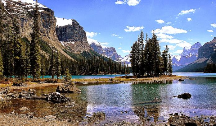 Free Desktop Wallpaper 1920X1080 : Full Hd Hdtv Fhd 1080p Desktop 
