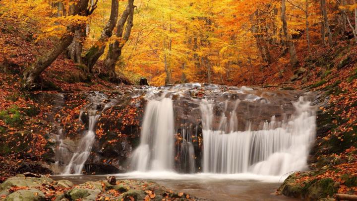 Autumn Screen Wallpaper (64+ images)