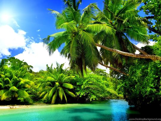 Natural Screen Wallpapers - Top Free Natural Screen Backgrounds 
