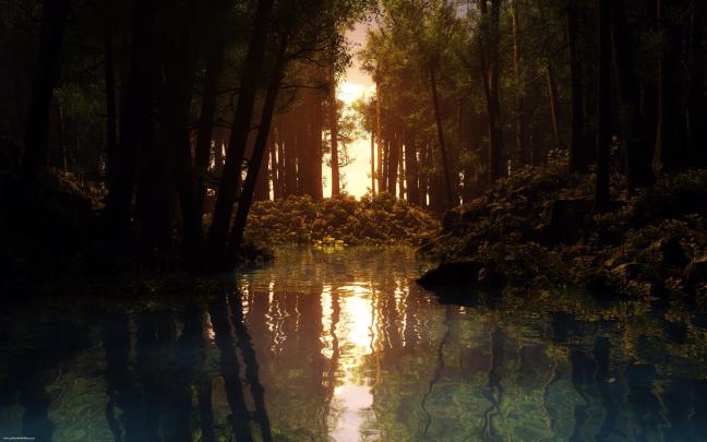water, Reflection, Lake, Forest, Sunset, Trees Wallpapers HD \/ Desktop 