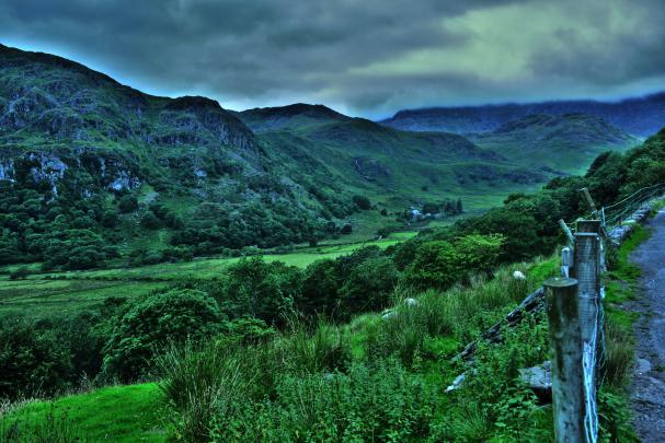 united, Kingdom, Parks, Mountains, Snowdonia, Shrubs, Nature Wallpapers 