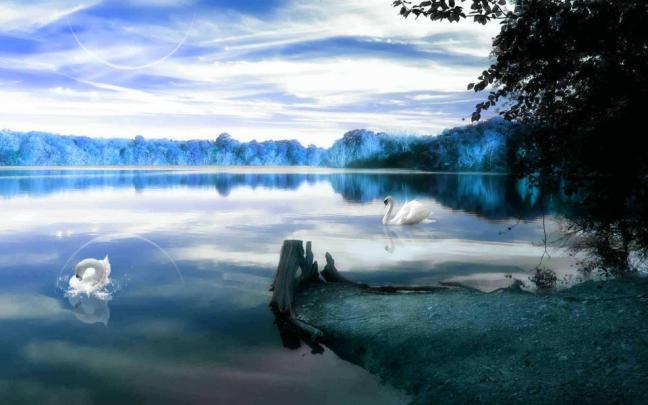 Download Riverbank Download 1920x1080 Phone Free 5K HD Wallpaper 