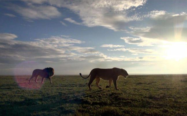 Download Tanzania Free Download 1920x1080 Phone 5K HD Wallpaper 