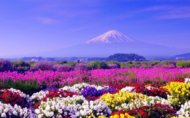 Spring Background Images \u00b7\u2460 