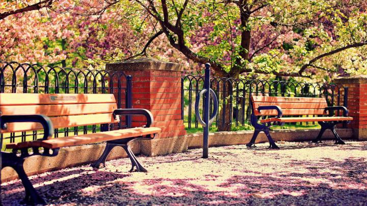 Spring Nature Wallpapers (56+ images)