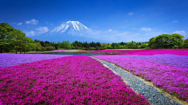 4K Nature Wallpaper Spring Japan (45+ images)