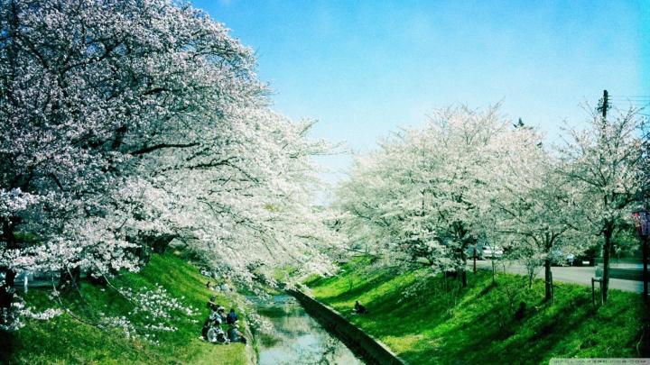 Spring Season Pictures Wallpapers (58+ images)