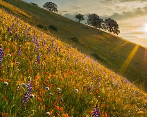 Free download Sunrise Spring Wallpaper 1920x1080 Sunrise Spring 