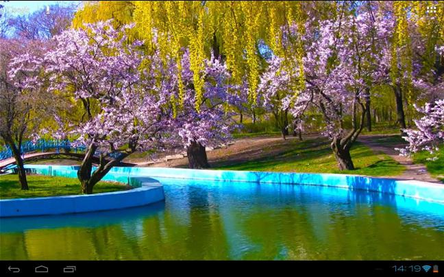 [49+] Spring Flower Wallpaper HD 3D 