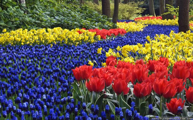 Desktop Wallpaper Spring Flowers (60+ images)