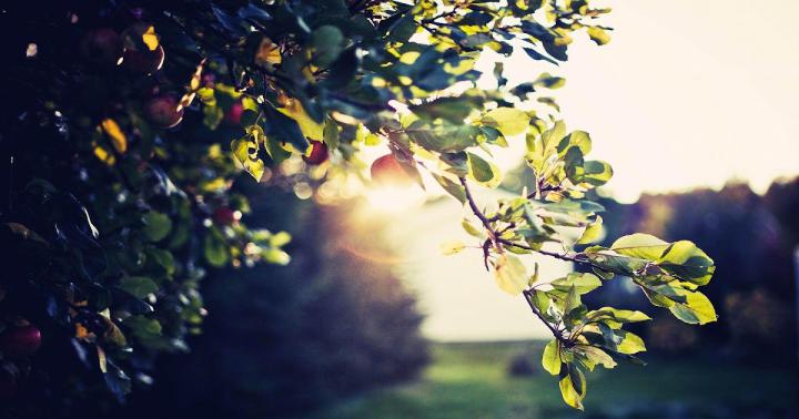 12+ Desktop Widescreen Wallpaper Nature Download - Venera Wallpaper