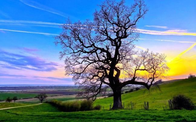 24+ Pc Wallpapers Free Download - Ryan Wallpaper