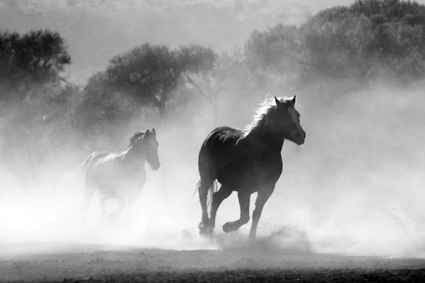 101 HD Laptop Wallpaper free Download, Nature Wallpapers for Laptop 