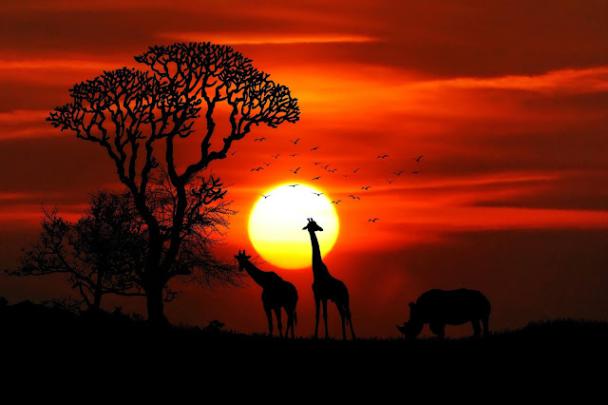101 HD Laptop Wallpaper free Download, Nature Wallpapers for Laptop 
