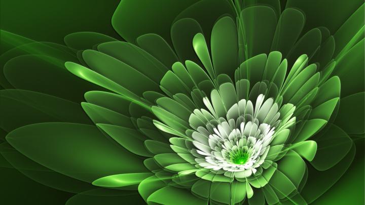 4K wallpaper: Hd Wallpapers For Pc 1920x1080 Free Download Flowers