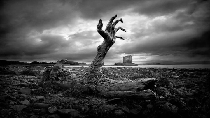 Horror Wallpapers