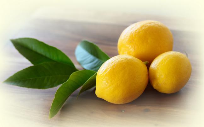 Lemon Wallpaper (92 Wallpapers) \u2013 HD Wallpapers