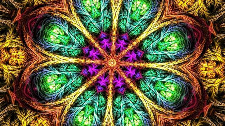 Free download Mandala wallpapers 56620 Animals Photography Wallpapers 