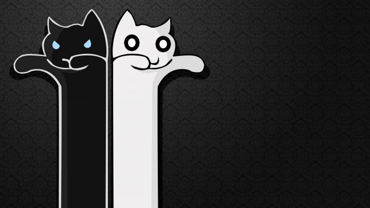 Download Free Meme Wallpapers