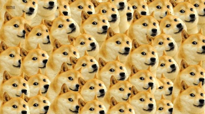 [59+] 2020 Meme Desktop Wallpapers 