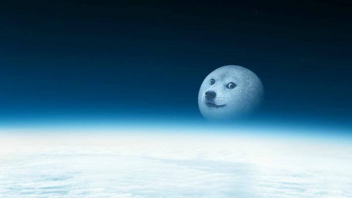 Doge Meme Wallpaper (85+ images)