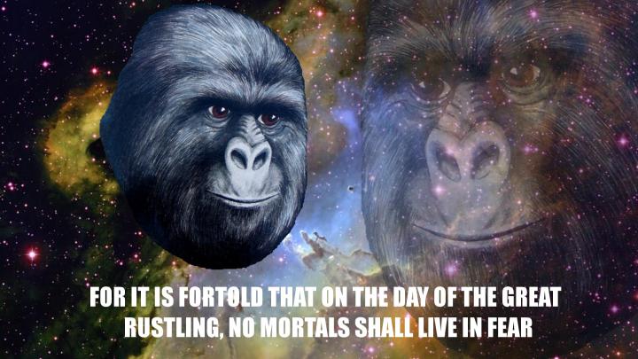 humor, Memes Wallpapers HD \/ Desktop and Mobile Backgrounds