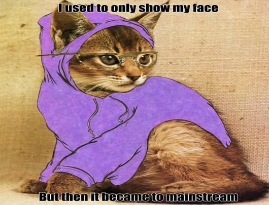 cat, Meme, Quote, Funny, Humor, Grumpy, 30 Wallpapers HD \/ Desktop and 